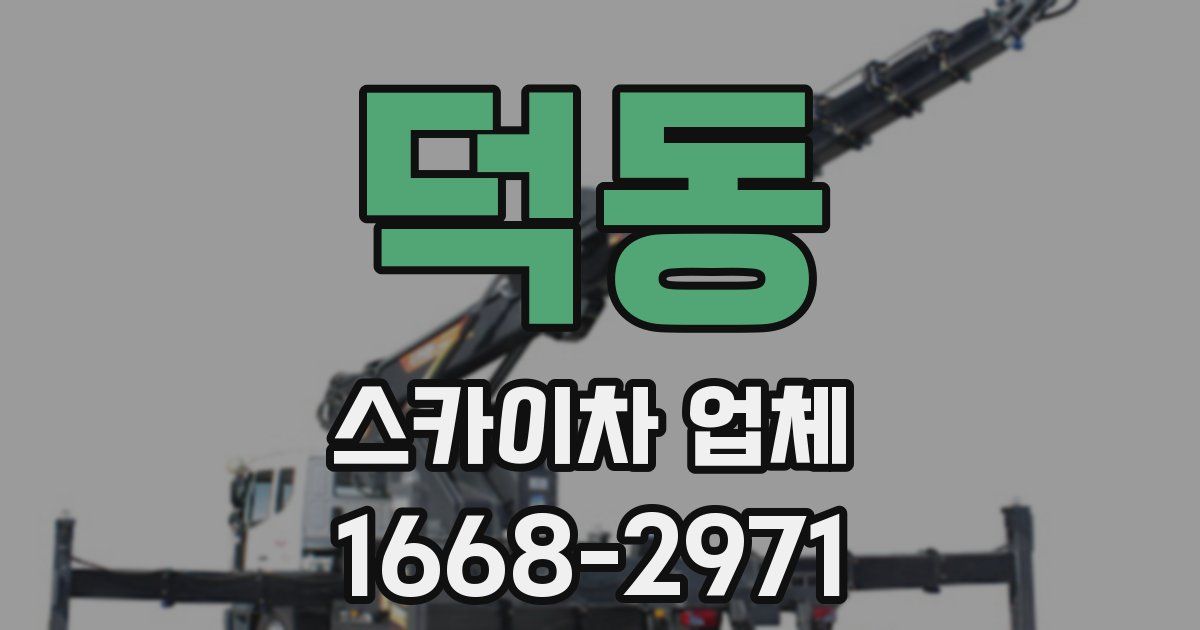 덕동 스카이차 업체