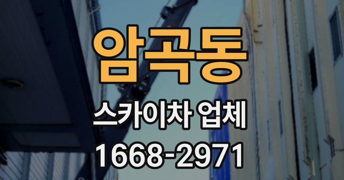 암곡동 스카이차 업체