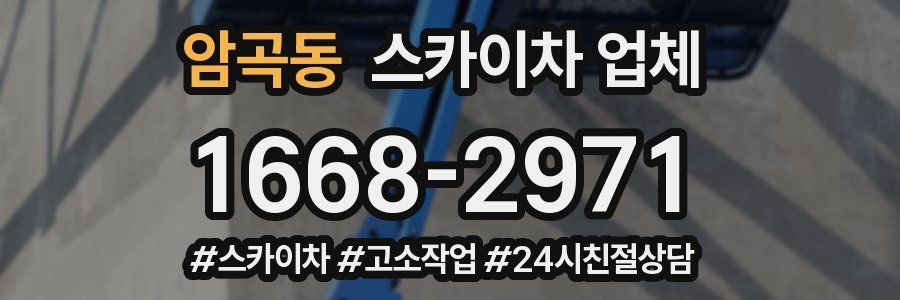암곡동 스카이차 업체