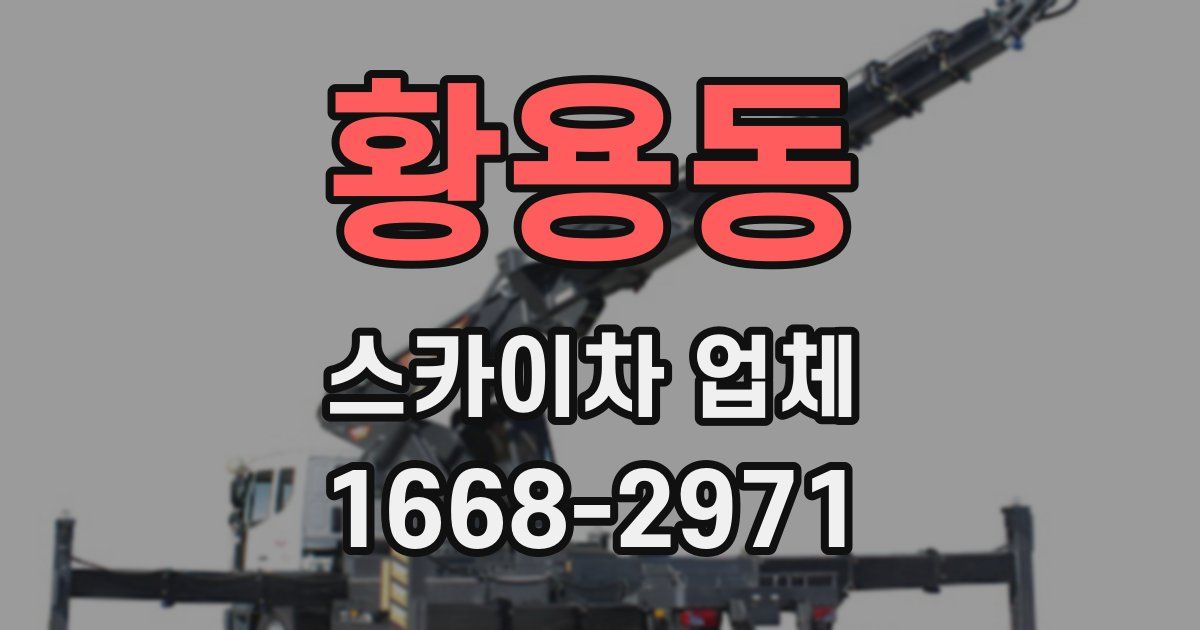 황용동 스카이차 업체