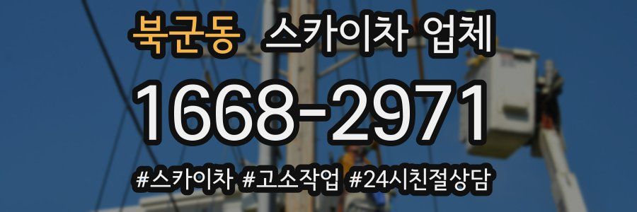 북군동 스카이차 업체