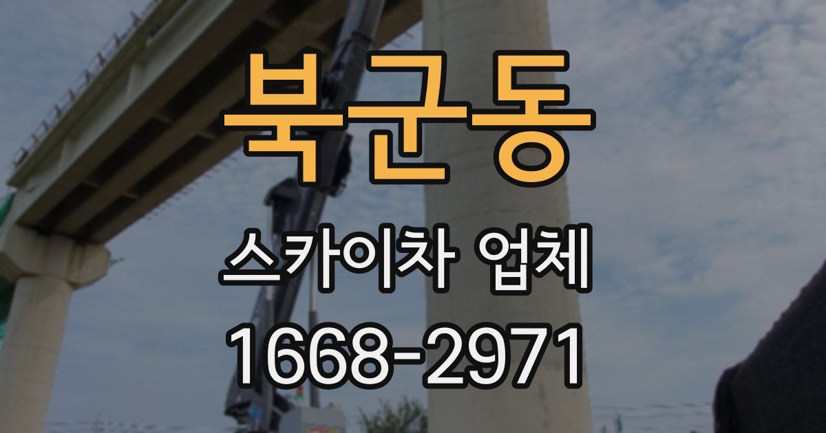 북군동 스카이차 업체