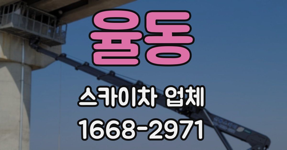 율동 스카이차 업체