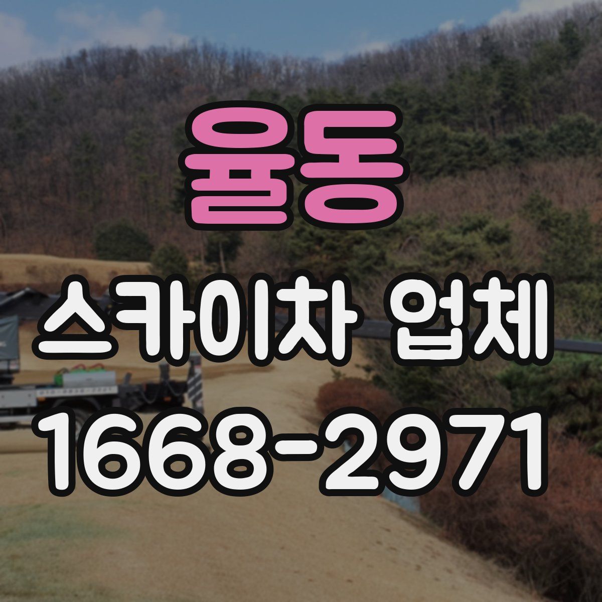 율동 스카이차 업체