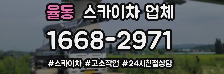 율동 스카이차 업체