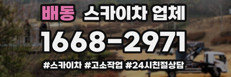 배동 스카이차 업체