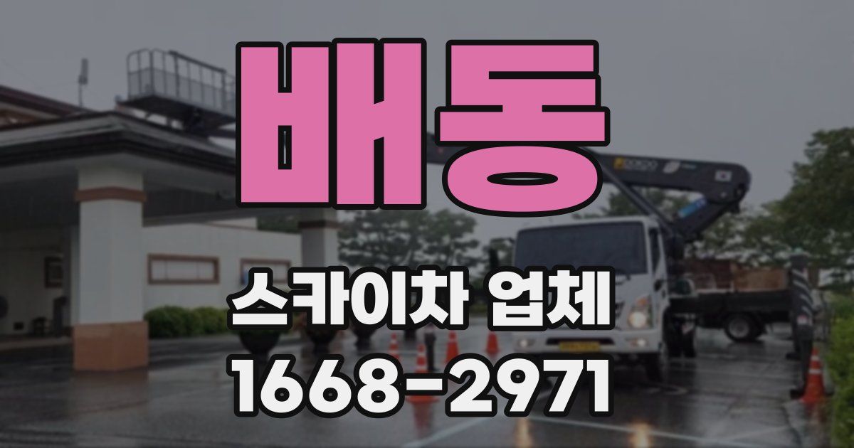 배동 스카이차 업체