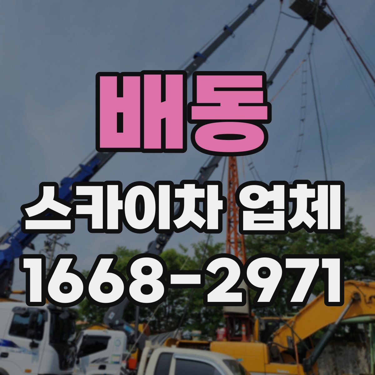 배동 스카이차 업체
