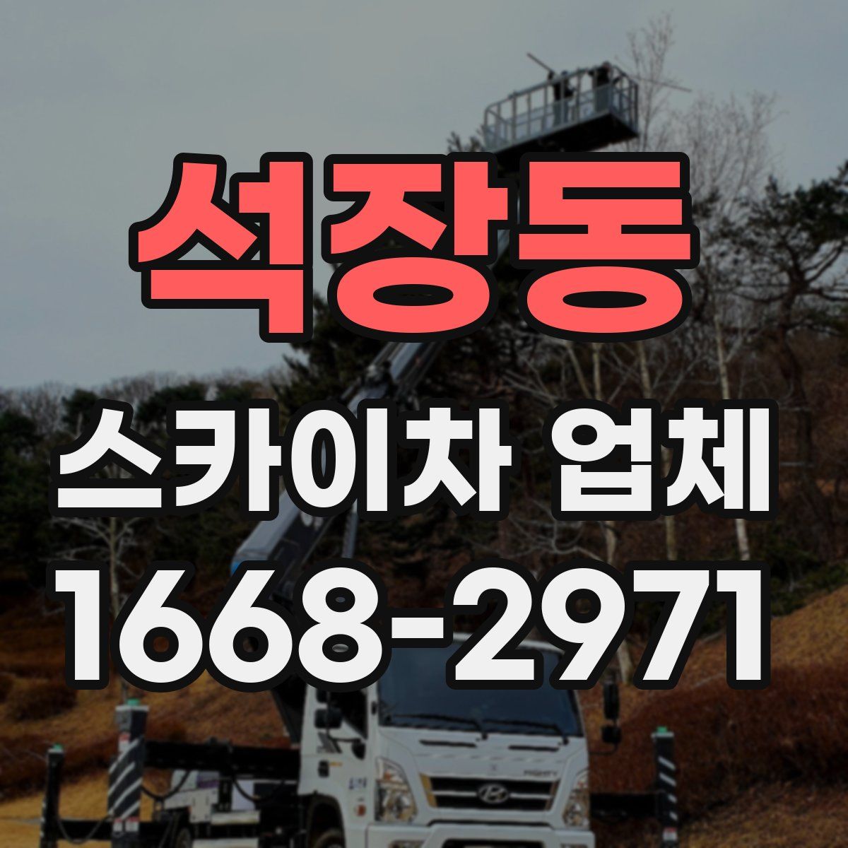석장동 스카이차 업체