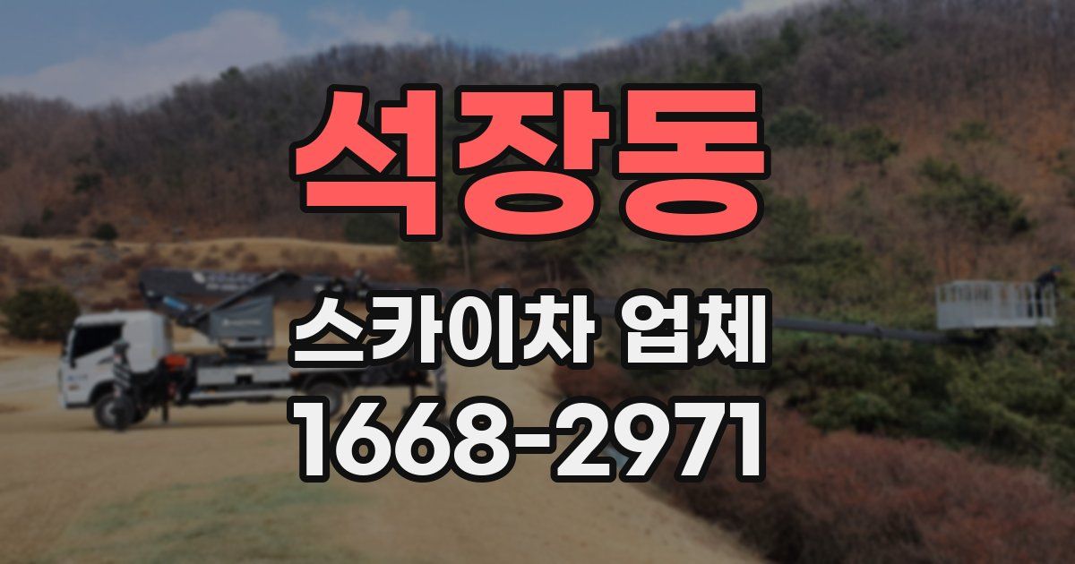 석장동 스카이차 업체