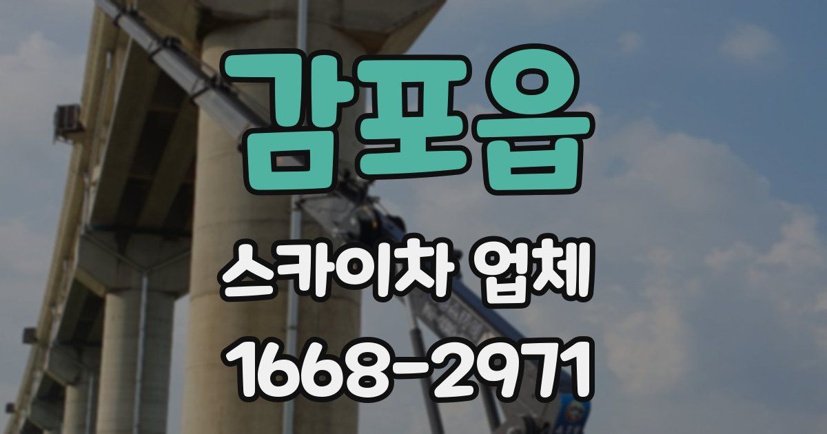 감포읍 스카이차 업체