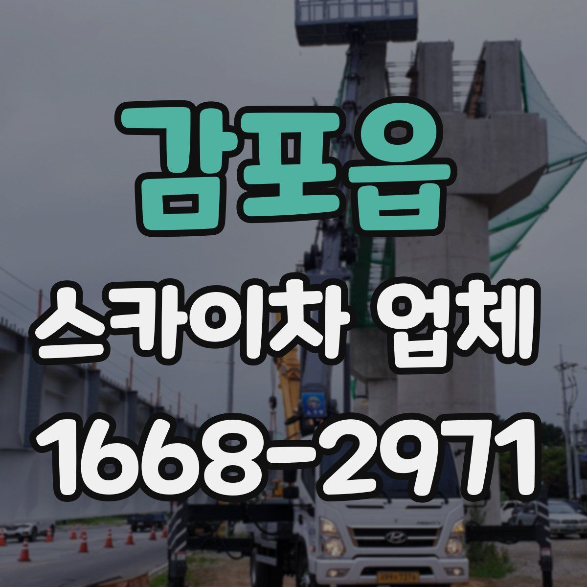 감포읍 스카이차 업체