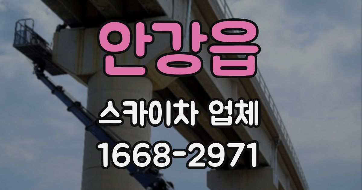 안강읍 스카이차 업체