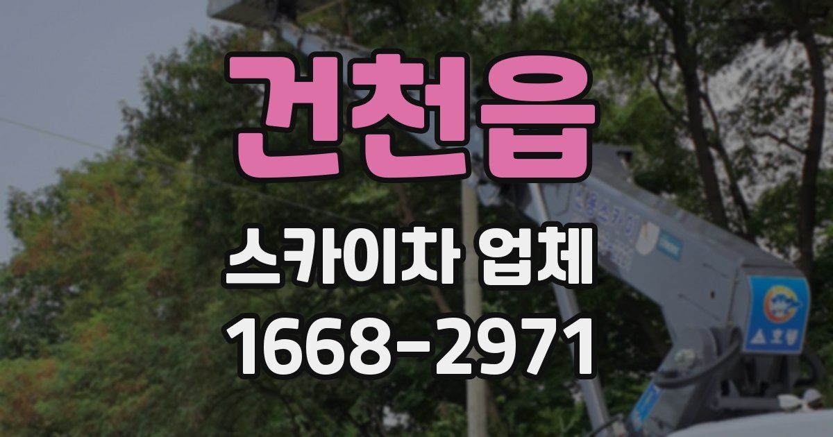 건천읍 스카이차 업체