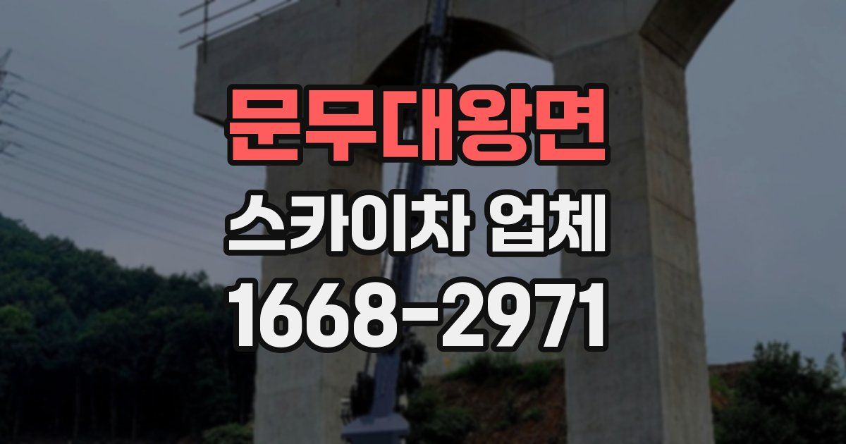문무대왕면 스카이차 업체