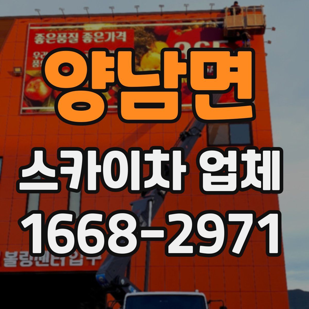 양남면 스카이차 업체