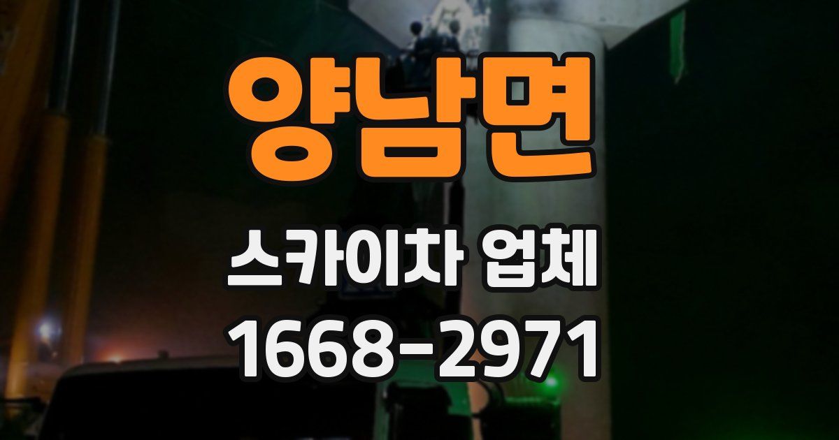 양남면 스카이차 업체