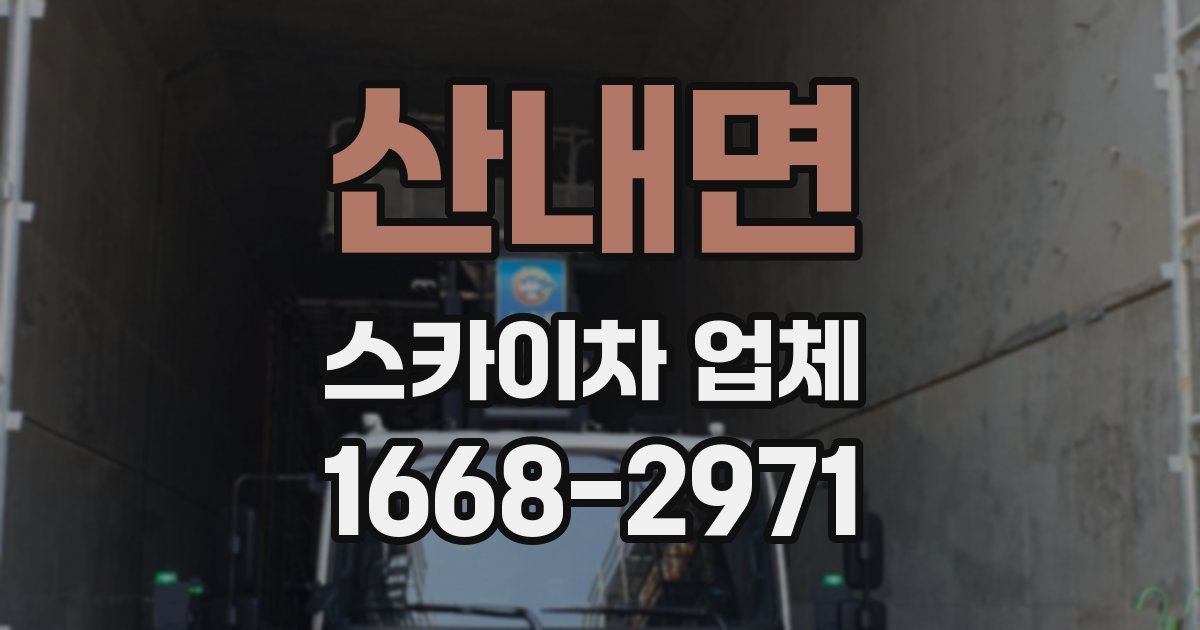 산내면 스카이차 업체