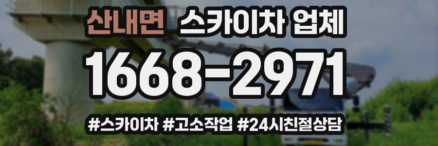 산내면 스카이차 업체