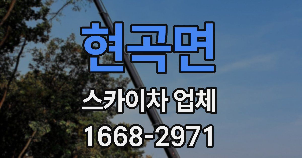 현곡면 스카이차 업체