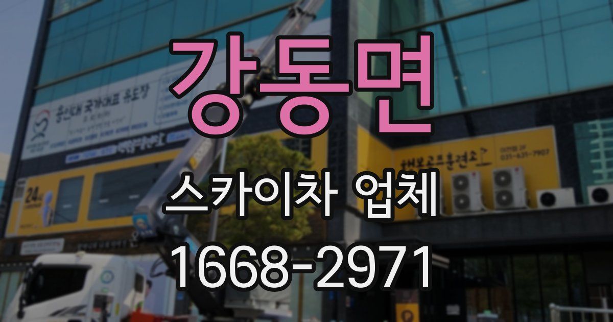 강동면 스카이차 업체