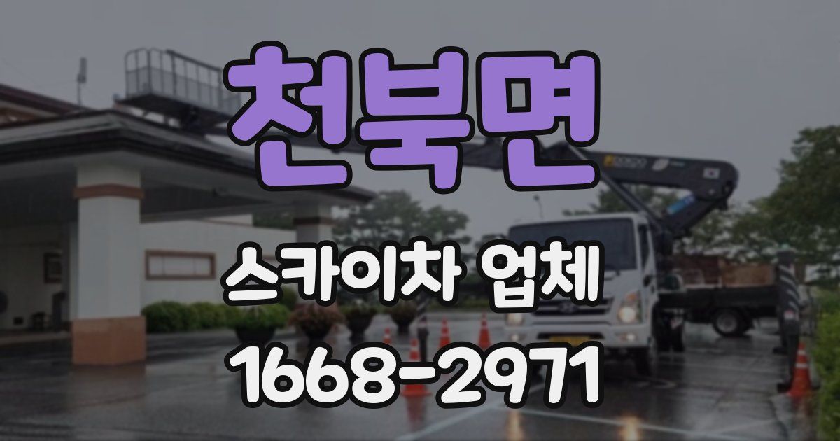 천북면 스카이차 업체