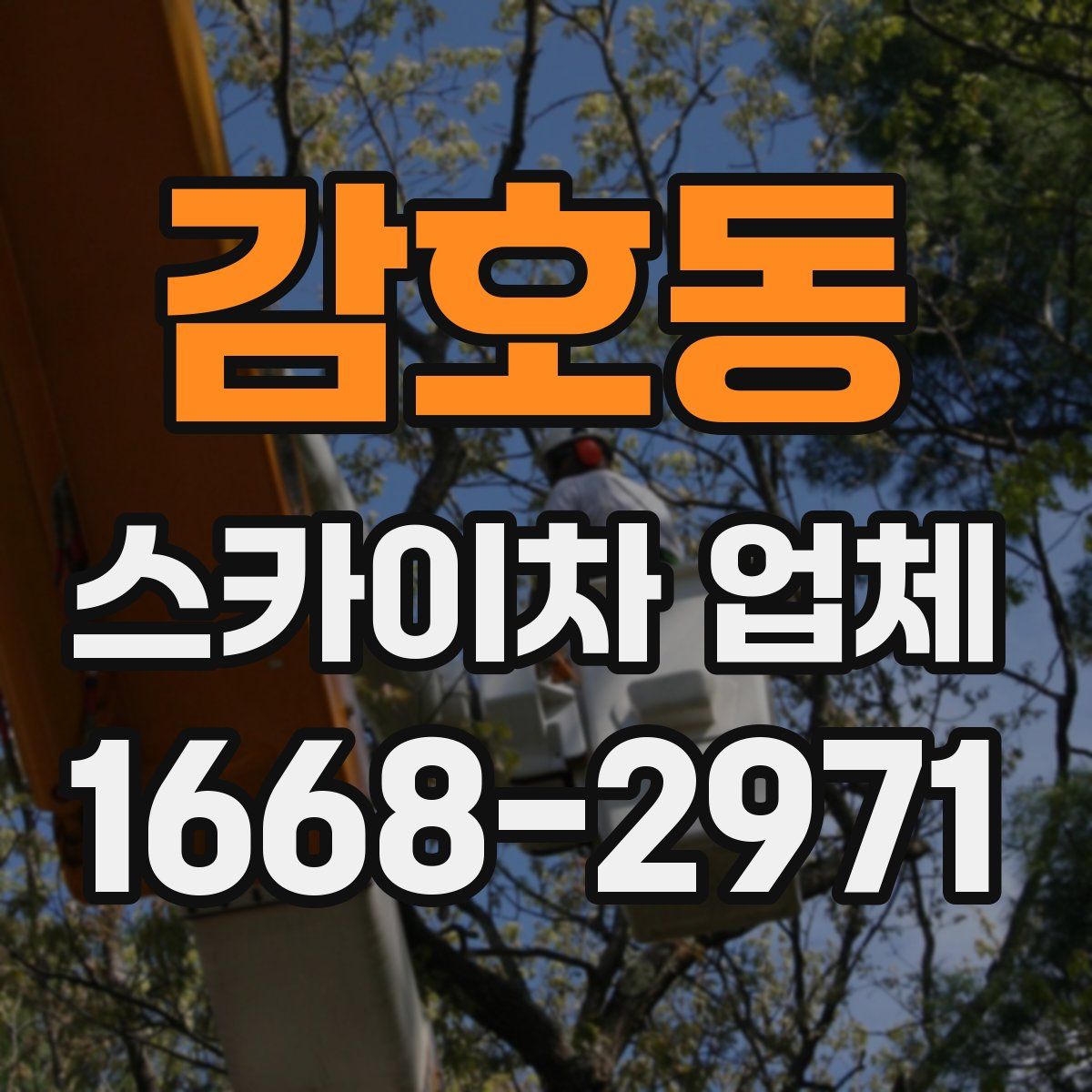 감호동 스카이차 업체
