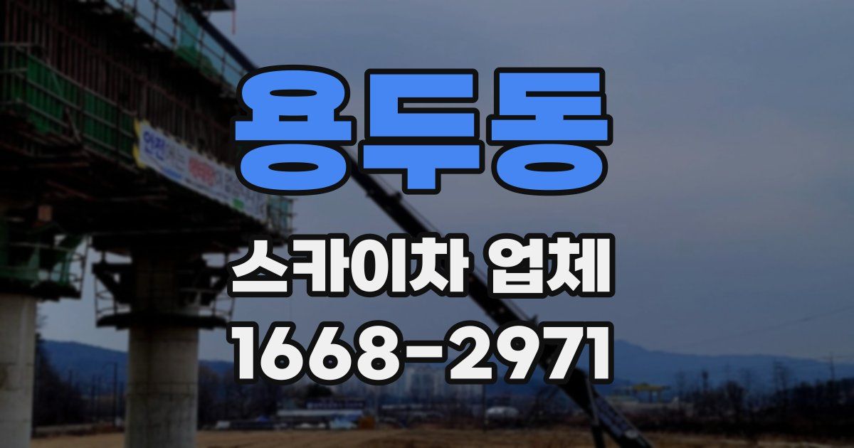 용두동 스카이차 업체