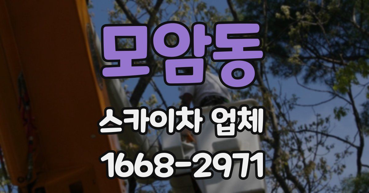 모암동 스카이차 업체