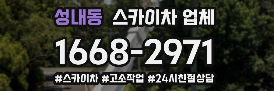 성내동 스카이차 업체