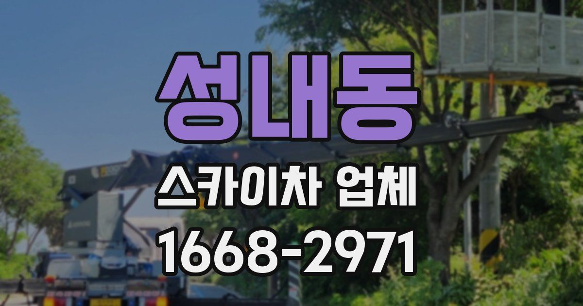 성내동 스카이차 업체