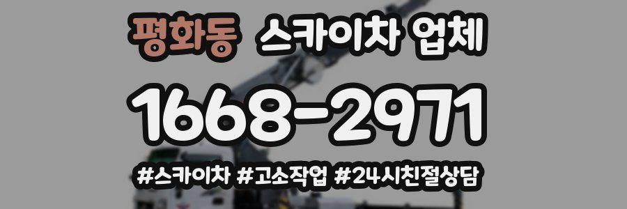 평화동 스카이차 업체