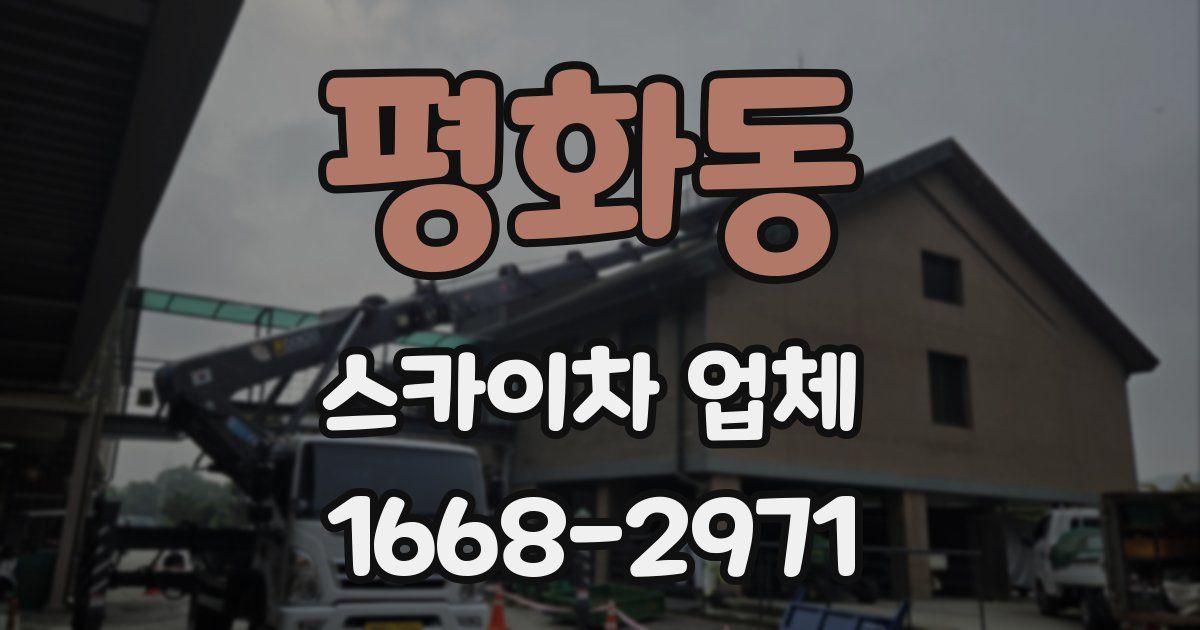 평화동 스카이차 업체