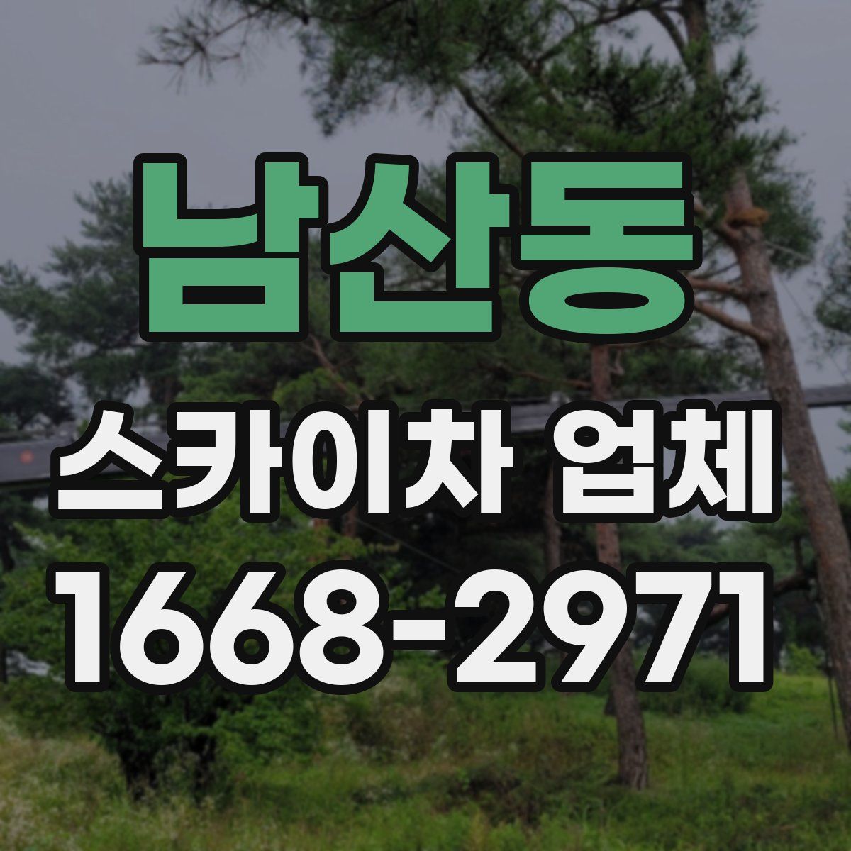 남산동 스카이차 업체