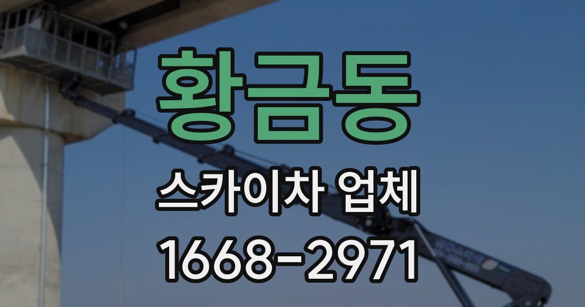 황금동 스카이차 업체
