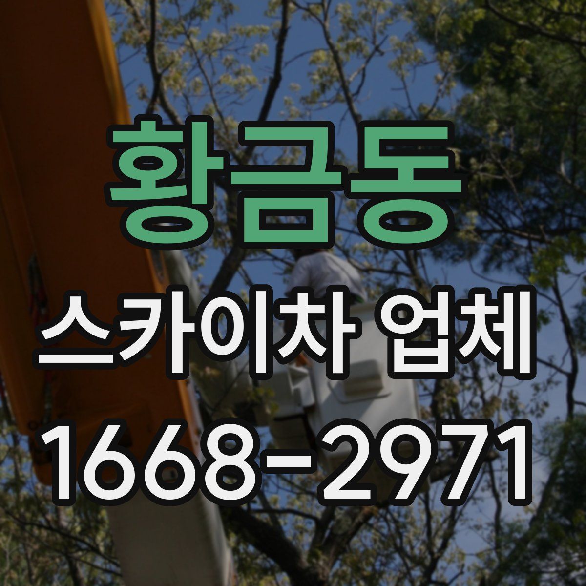 황금동 스카이차 업체