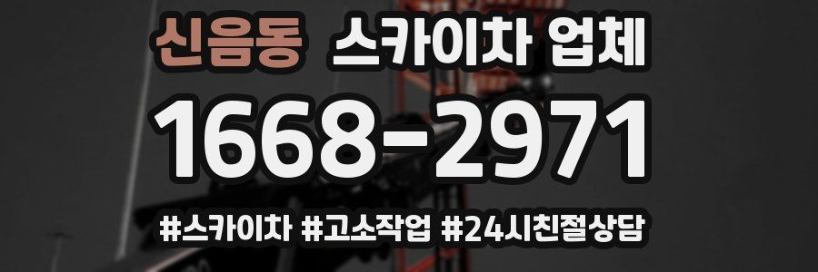 신음동 스카이차 업체