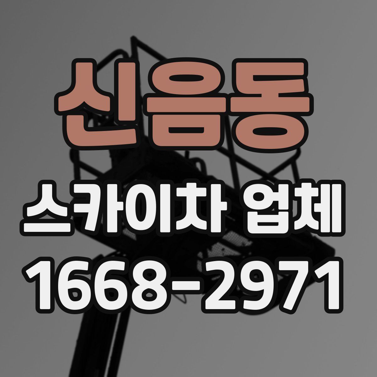 신음동 스카이차 업체