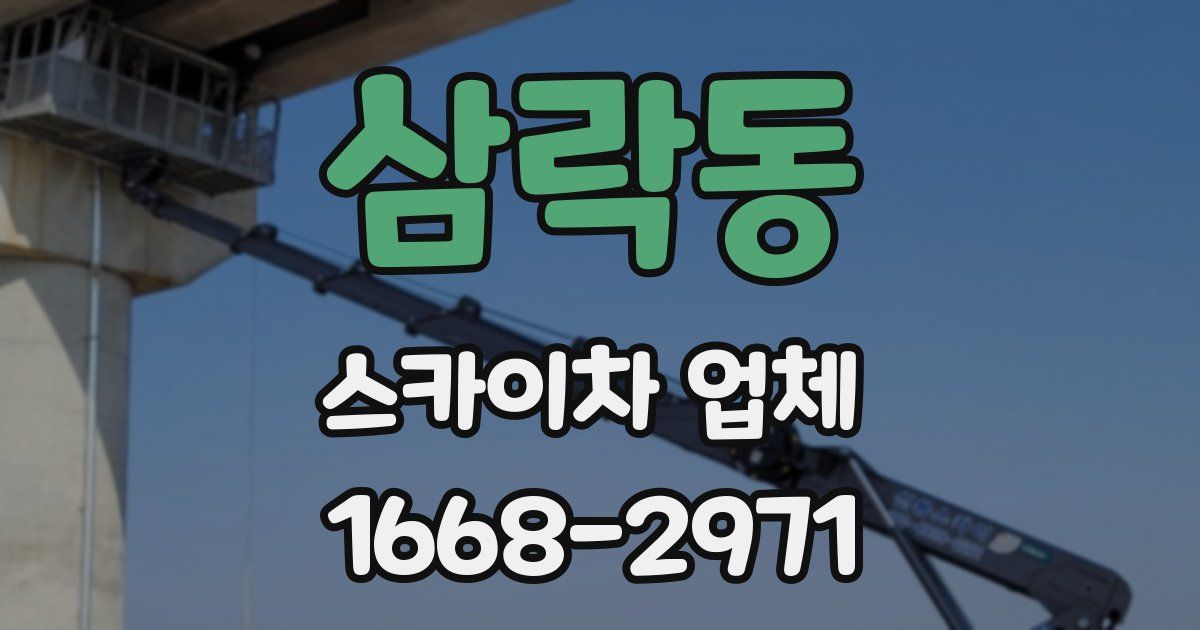 삼락동 스카이차 업체