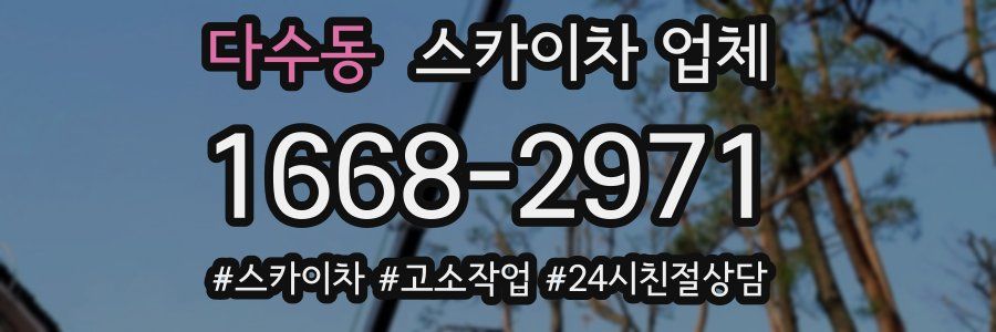 다수동 스카이차 업체