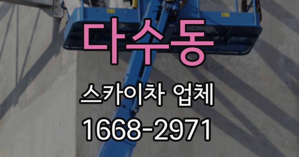 다수동 스카이차 업체