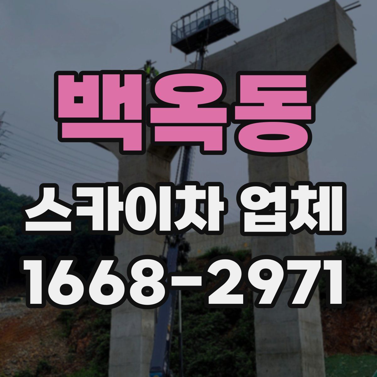 백옥동 스카이차 업체