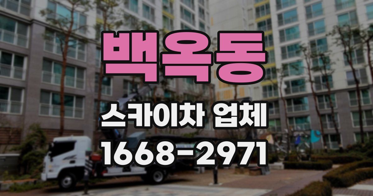 백옥동 스카이차 업체