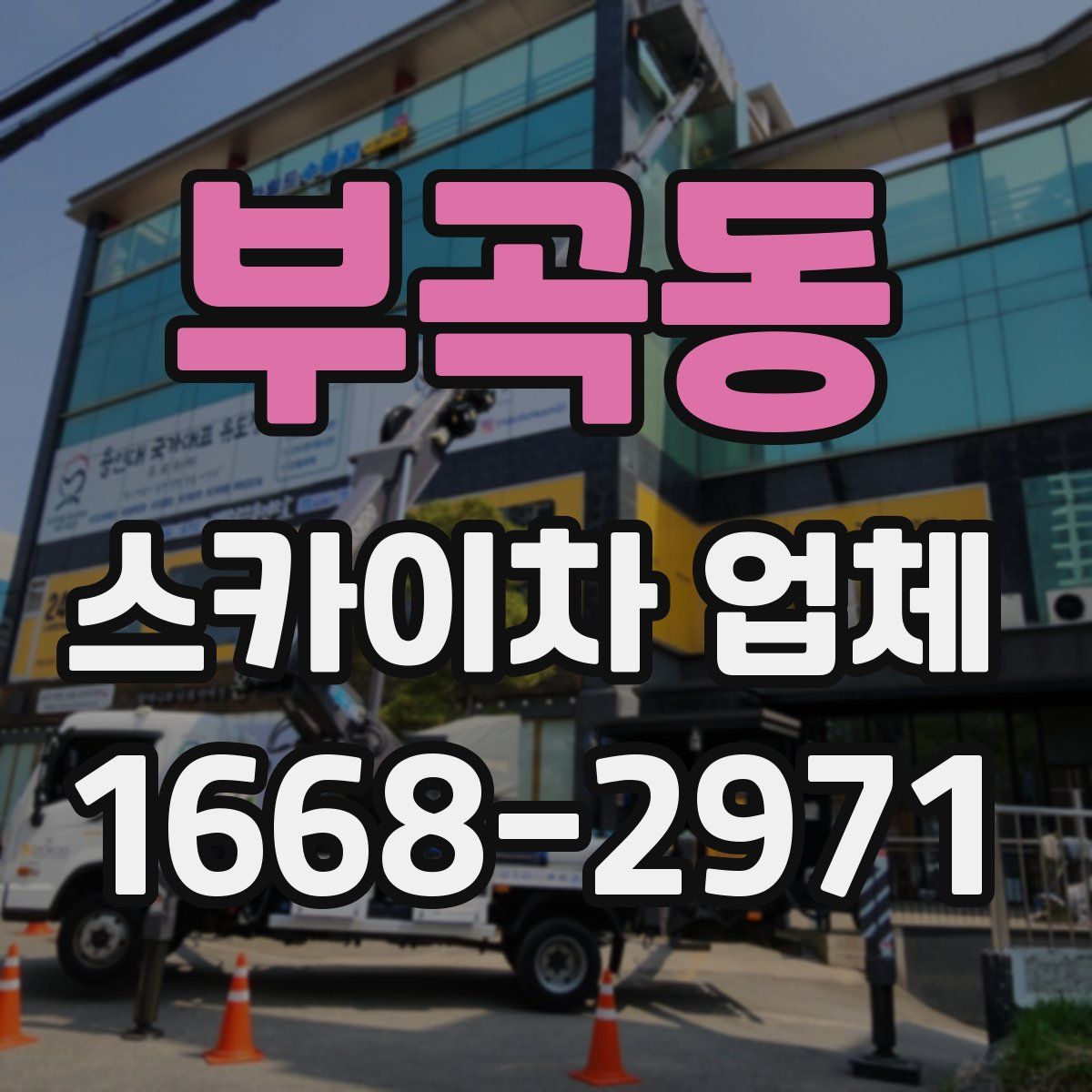 부곡동 스카이차 업체