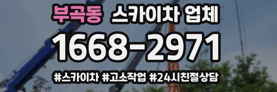 부곡동 스카이차 업체