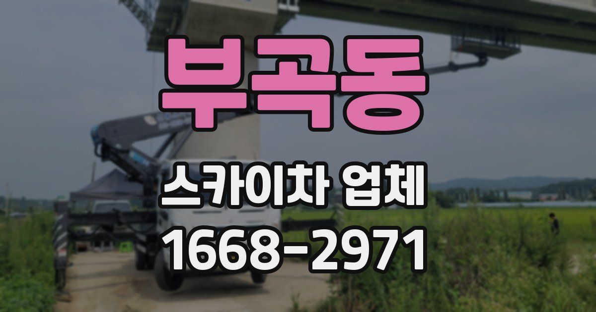 부곡동 스카이차 업체
