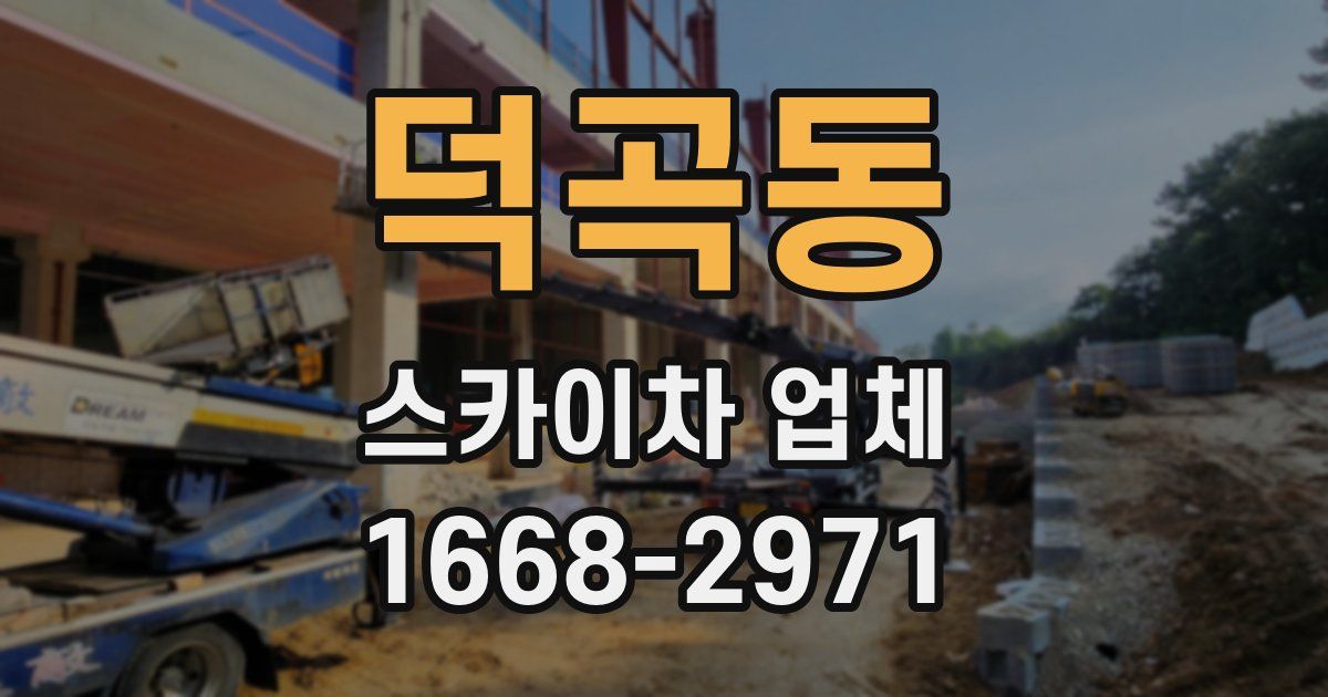 덕곡동 스카이차 업체