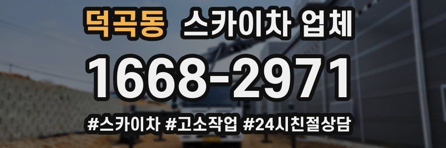 덕곡동 스카이차 업체