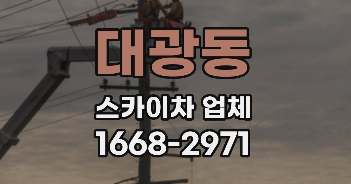 대광동 스카이차 업체