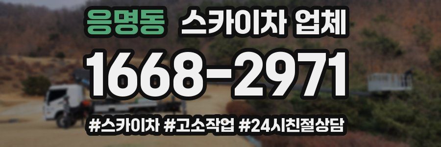 응명동 스카이차 업체